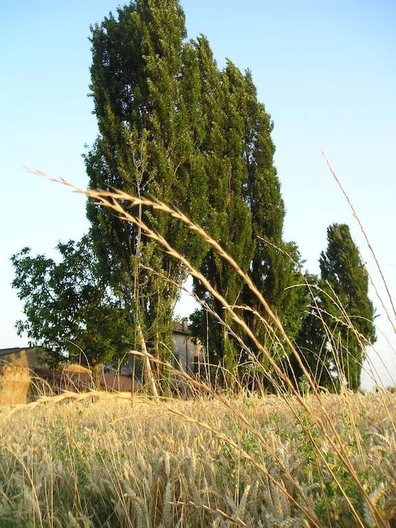 Corte Motte Pegognaga Exterior photo